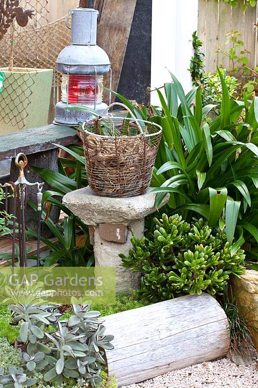 Detail of a garden with succulents and Agapanthus with a collection of objects featuring a timber log seat a stone plinth with a wire basket full of garden twine and a vintage railway lantern.
