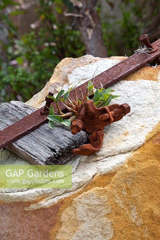 An old piece of timber with rusty metal fittings as a decoration on top of a sandstone with a Pink rock orchid.