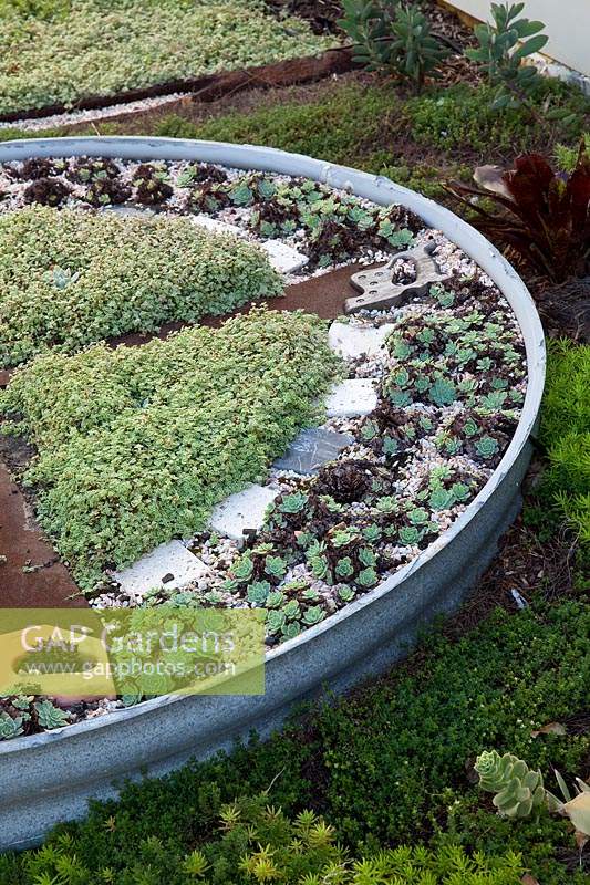 Detail of a corrugated iron water tank sunk into the ground designed as a mandala garden divided with rusty saws, planted with a variety of succulents and mulched with seashells.