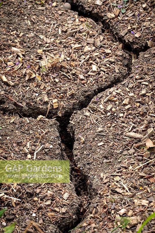Parched soil that is cracked as a result of drought.