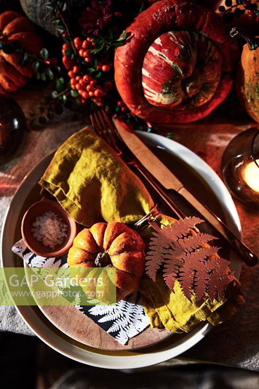 Autumnal table setting with napkin, gourd and fern shaped name tag.