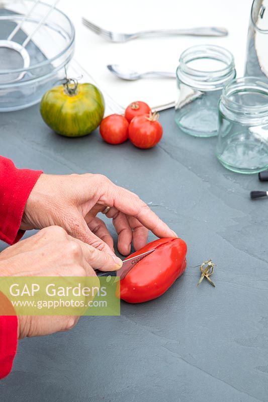 Woman halving a San Marzano tomato to harvest seeds.