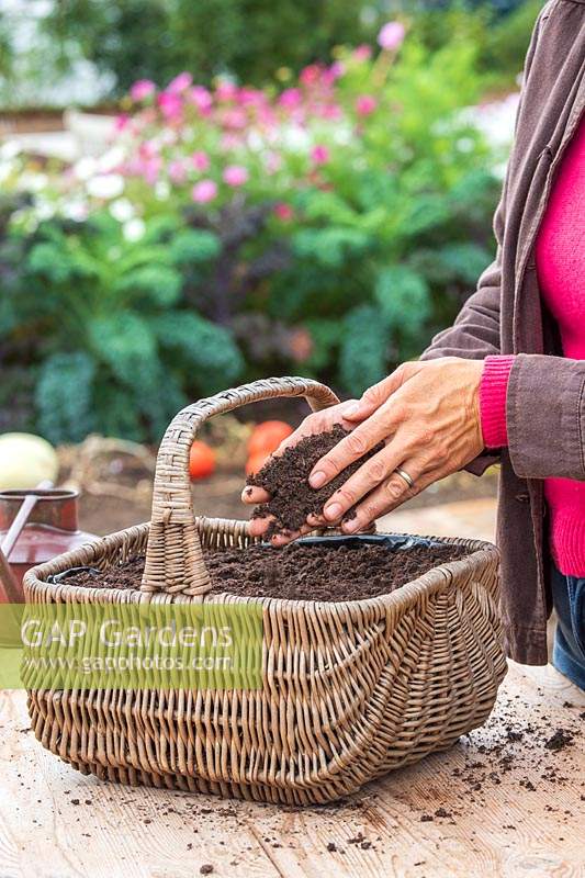 Woman adding a thin layer of compost to newly sown seeds