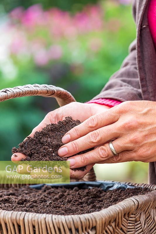Woman adding a thin layer of compost to newly sown seeds.