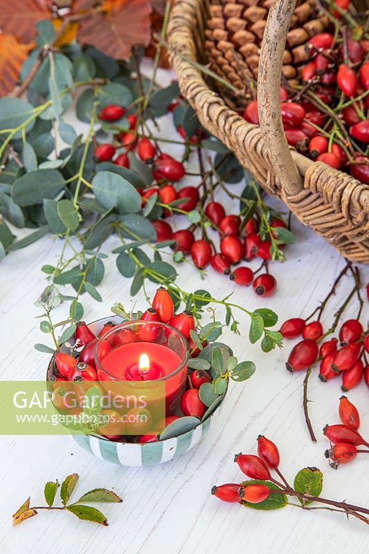 Rosa - Rosehips and Eucalyptus foliage, alongside table decoration with red candle