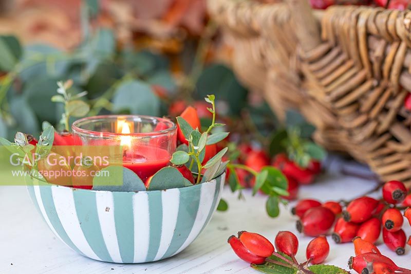 Arrangement with red candle in strippy dish with rosehips and Eucalyptus foliage