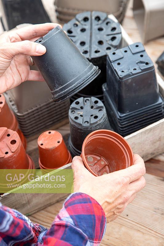 Sorting used plastic pots by colour for recycling - black pots can not be sent for recycling