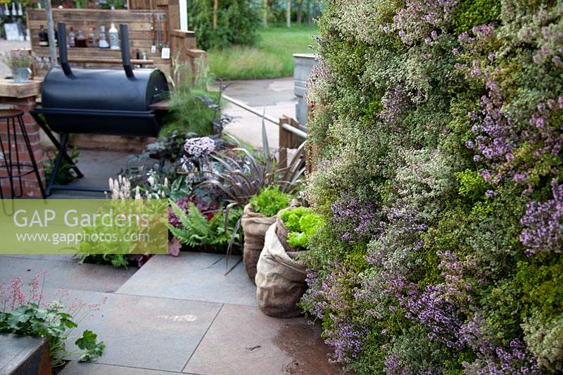 Lavender wall in the contemporary garden using recycled materials and a dark colour palette - The Hairy Gardener's Garden at BBC Gardener's World Live 2017