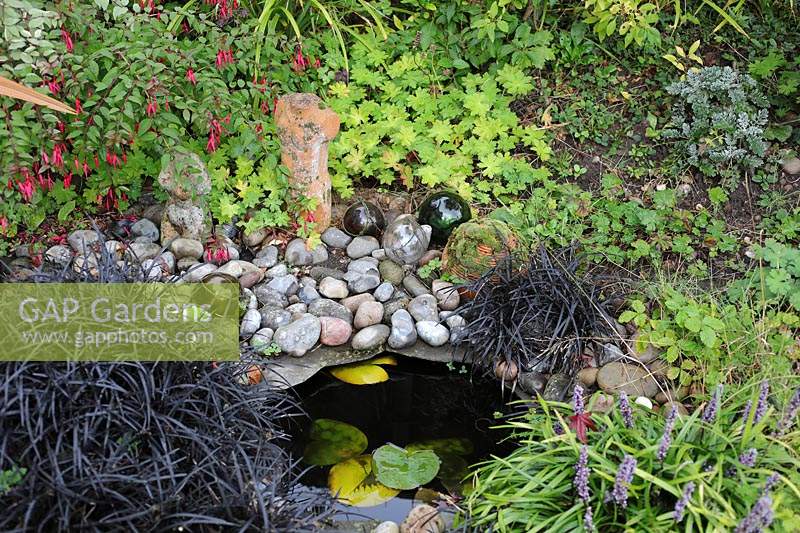 Fuchsia, Geranium, Liriope and Ophiopogon surrounding a small sunken pond edged with cobbles