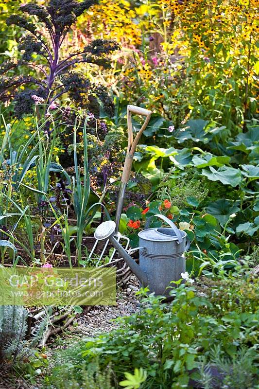 Mixed vegetable beds and tools in late summer.