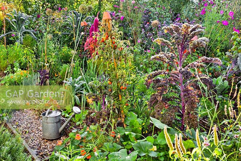 Vegetable beds in late summer.