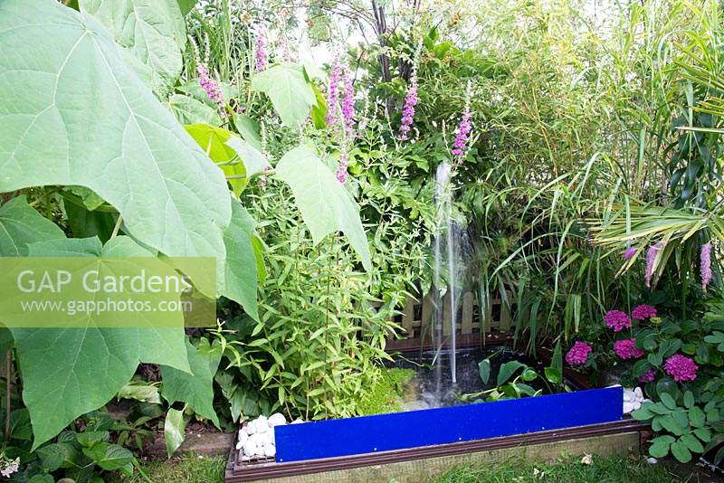 Water feature in small urban garden full of exotics. Planting includes Paulownia tomentosa, Lythrum salicaria, Bamboo, Hydrangea and Trachycarpus fortunei