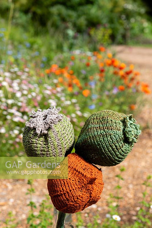 Hand knitted poppy seedheads