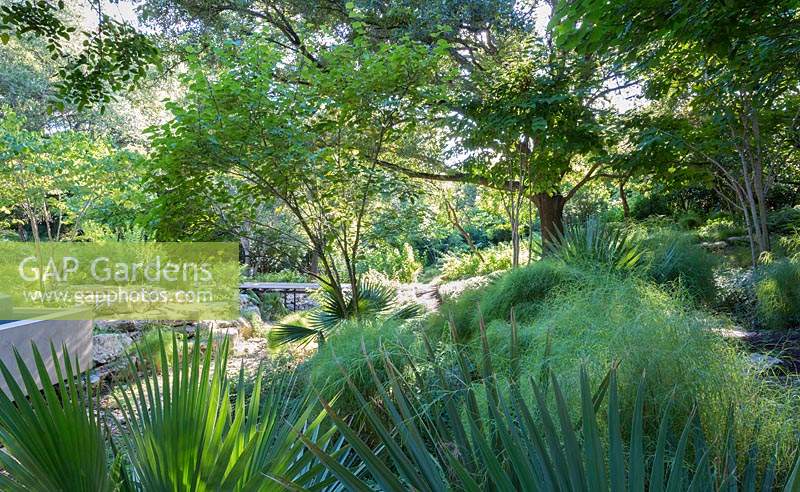 View over palm leaves towards woodland garden