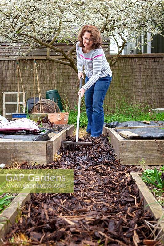 Refreshing a bark path in the vegetable garden by covering with bark chippings and spreading with a rake to control weeds