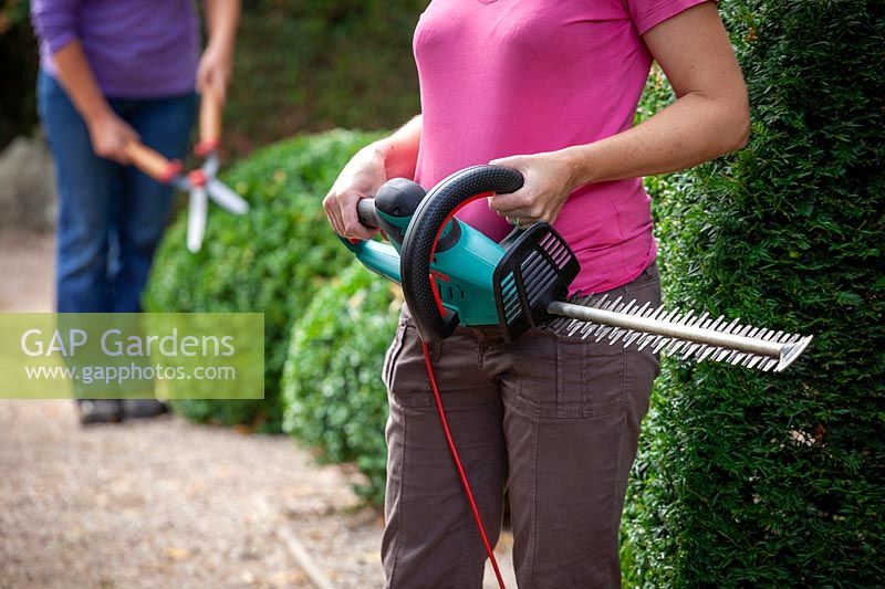 Alternative hedge trimming equipment options - electric hedge trimmer and hand shears