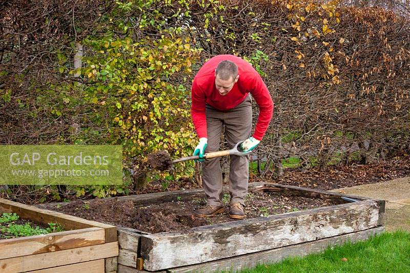 Double digging over bare soil in a raised bed 