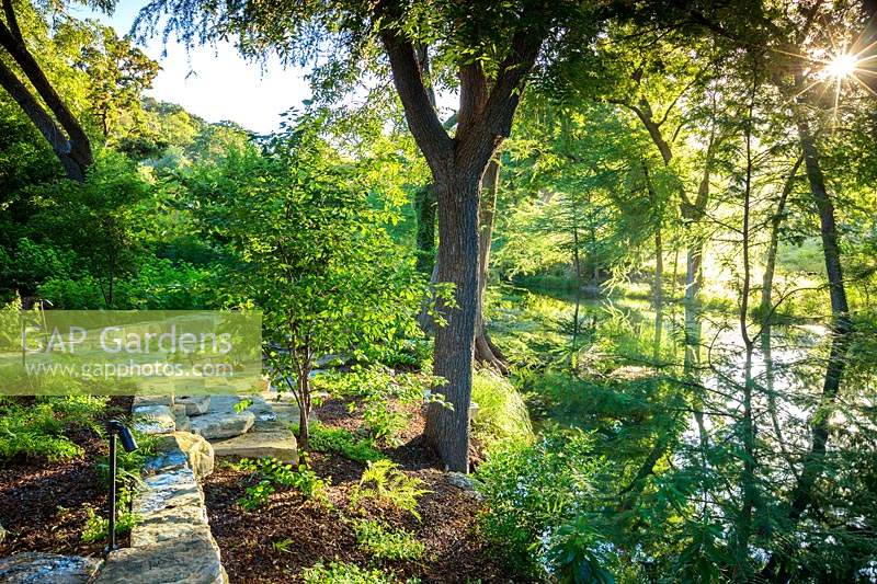 Shady woodland area at Mill Creek Ranch in Vanderpool, Texas designed by Ten Eyck Landscape Inc, July.