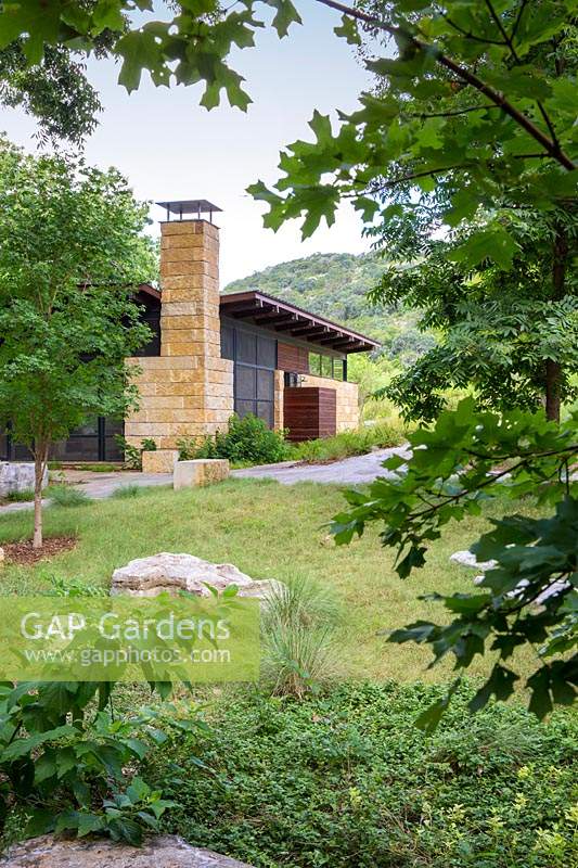 Grass garden and modern house at Mill Creek Ranch in Vanderpool, Texas designed by Ten Eyck Landscape Inc, July.