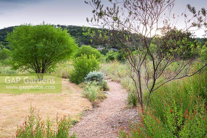 Path and view through meadow to countryside at Mill Creek Ranch in Vanderpool, Texas designed by Ten Eyck Landscape Inc, July.
