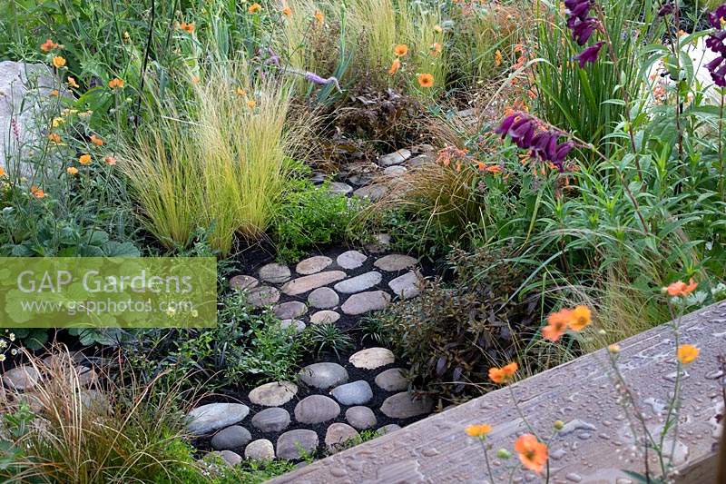 'Find Yourself Lost in the Moment' garden - RHS Chatsworth Flower Show 2019 - view of path showing pebbles surrounded by low growing plants.