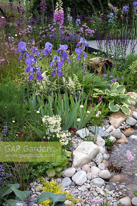 Naturalistic planting in the 'RHS Garden for Wildlife Wild Woven' - RHS Chatsworth Flower Show 2019.