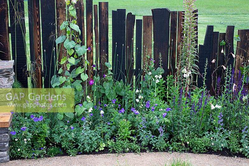 Carbonised timber fence in The 'Mandala' Mindfulness garden at RHS Chatsworth Flower Show 2019.