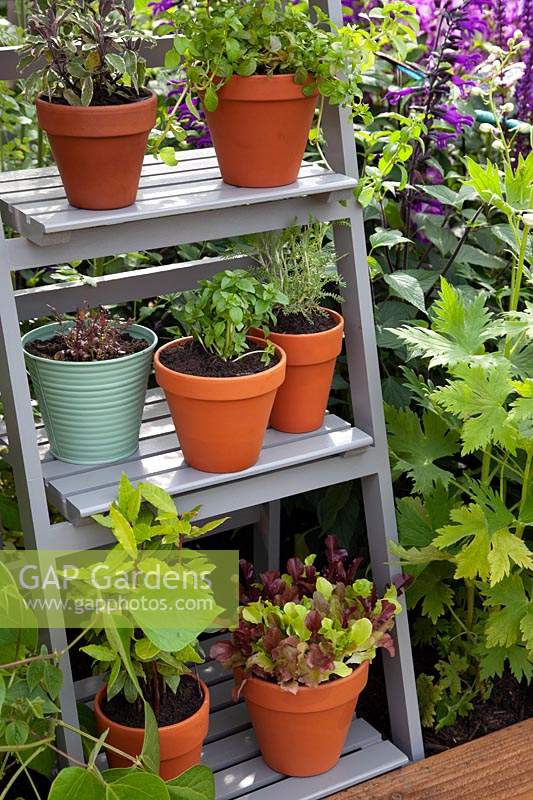Pots of herbs on stepladder in 'Going Back to Your Roots' - Beautiful Borders - BBC Gardener's World Live 2018