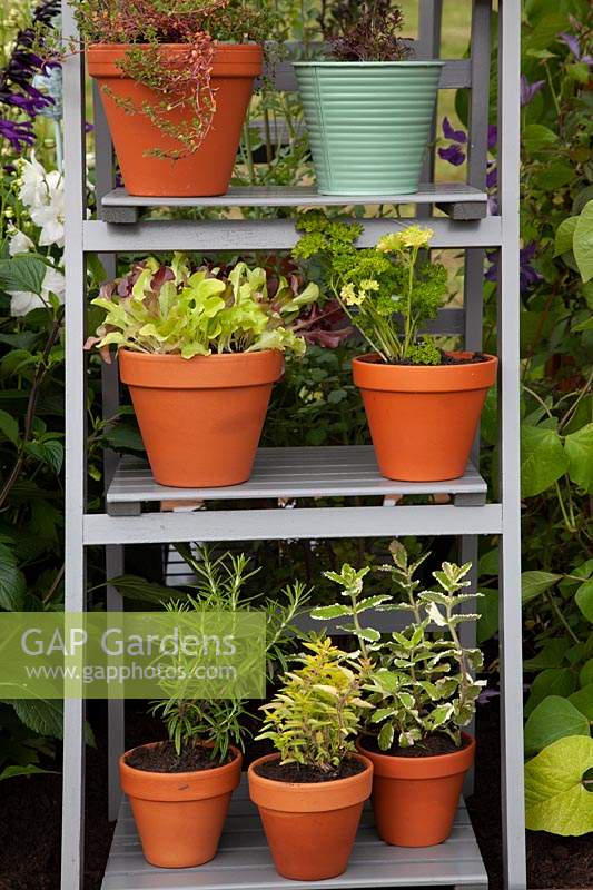 pots of herbs on stepladder in 'Going Back to Your Roots' - Beautiful Borders - BBC Gardener's World Live 2018
