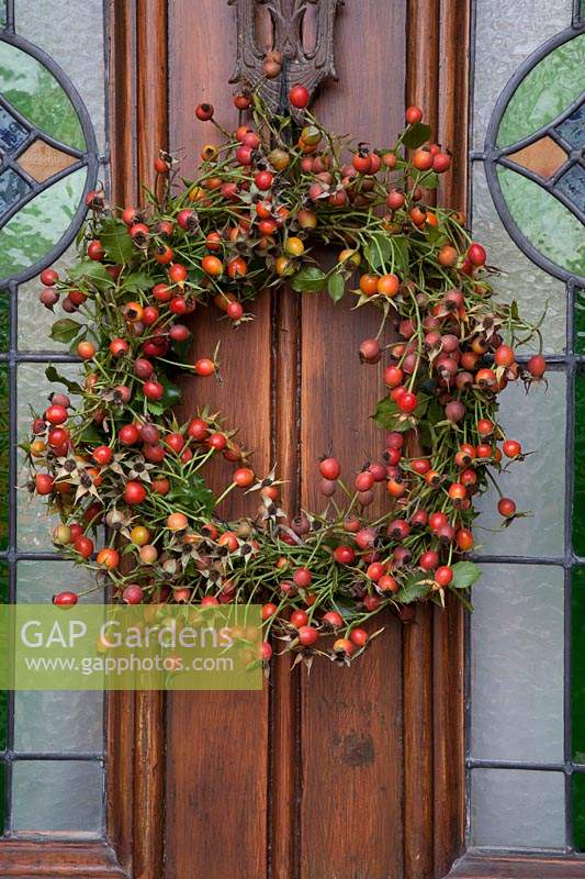 Rose hips wreath from Climbing Rosa Facade on front door with stain glass 