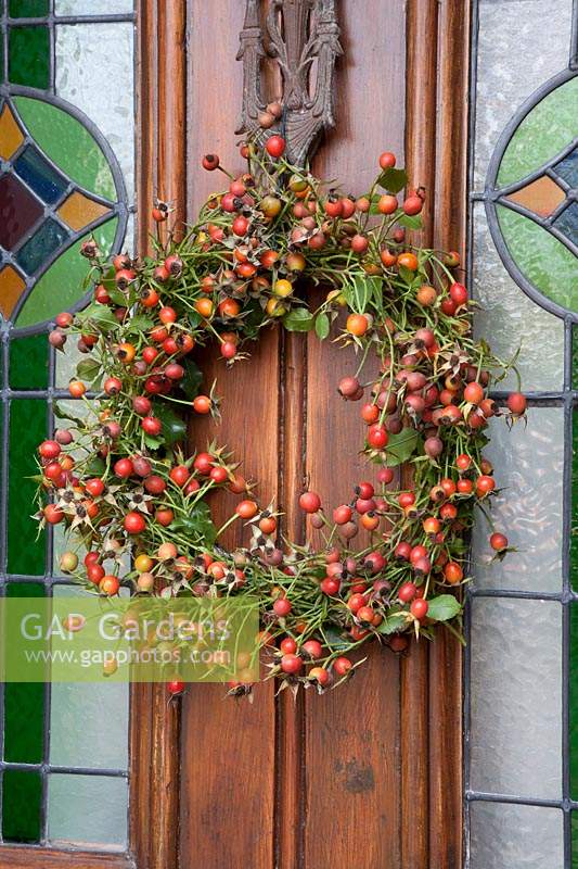 Rose hips wreath from Climbing Rosa Facade on front door with stain glass 