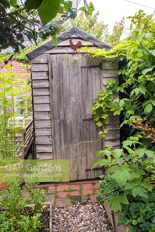 Garden shed in urban allotment