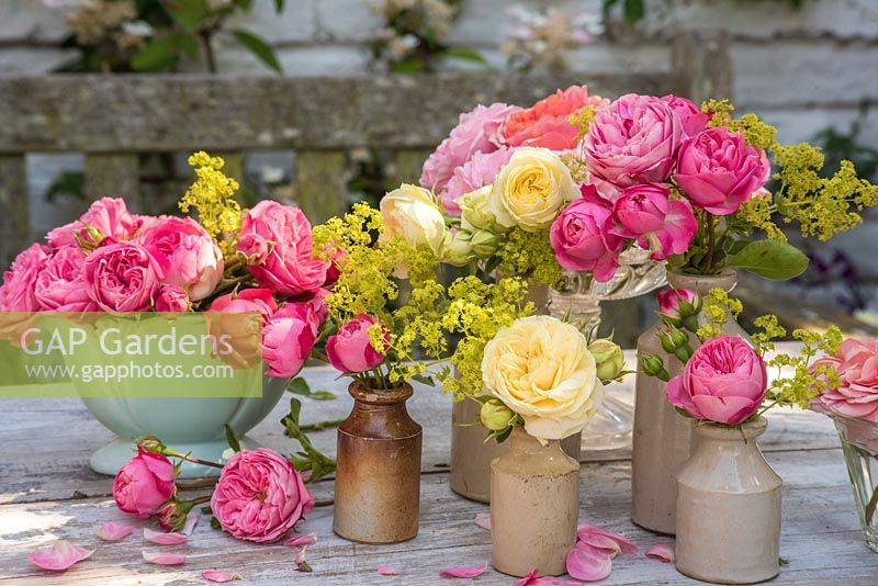 Roses and Alchemilla mollis displayed in small pottery bottles and vintage china vases