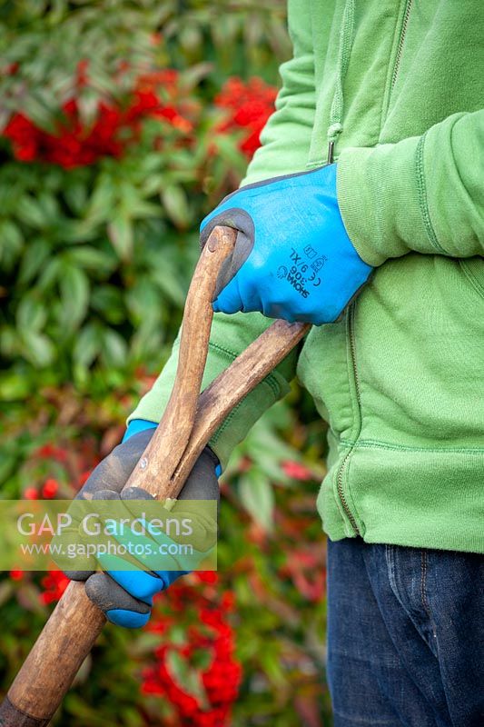 Showa all weather gardening gloves