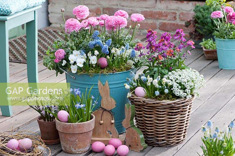 Pots, baskets and buckets planted with spring-flowering plants decorated with easter ornaments. 