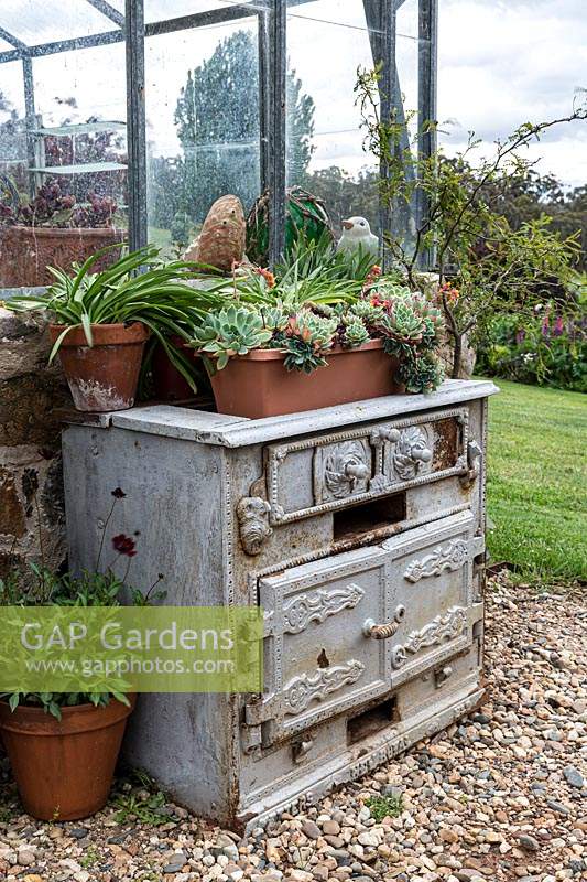 An upcycled antique cast iron stove being used to display potted succulents and strappy leaved plants outside a glasshouse