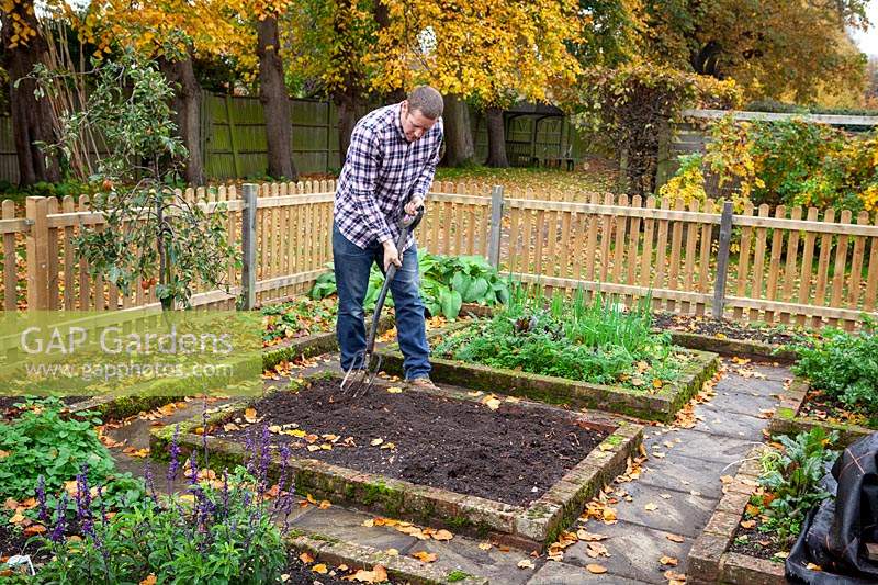 Digging over an empty bed in a vegetable garden in autumn