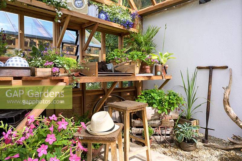 Inside greenhouse: potting table - RHS Hampton Court Palace Garden Festival 2019.