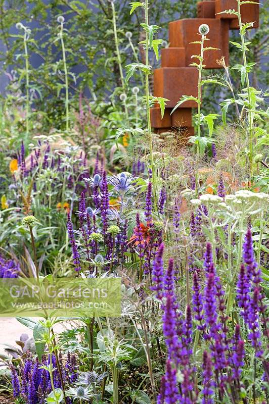 Purple Salvia sylvestris 'Mainacht', Echinops  and Eryngium planum sea holly with  Fennel with detail of  in front of 'Honesty' sculpture in Corten steel by Jill Clarke - The Lower Barn Farm Outdoor Living Garden - RHS Hampton Court  Palace Garden Festival 2019 