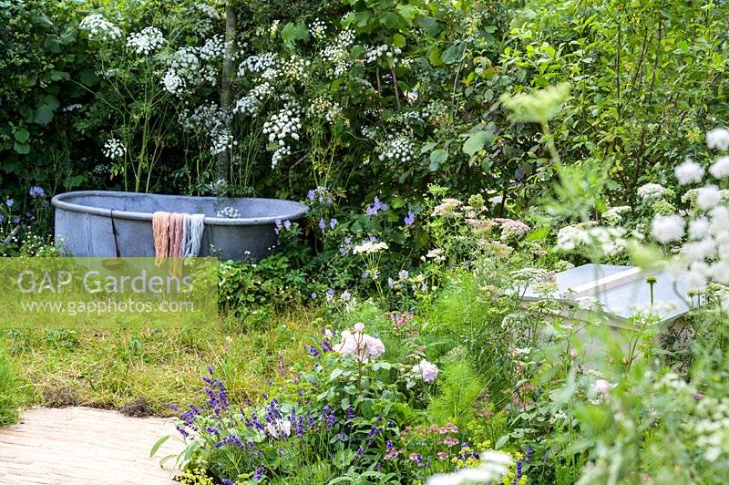Naturalistic planting with Amni majus and old bath tub. The Naturecraft Garden. RHS Hampton Court Palace Garden Festival, 2019.
