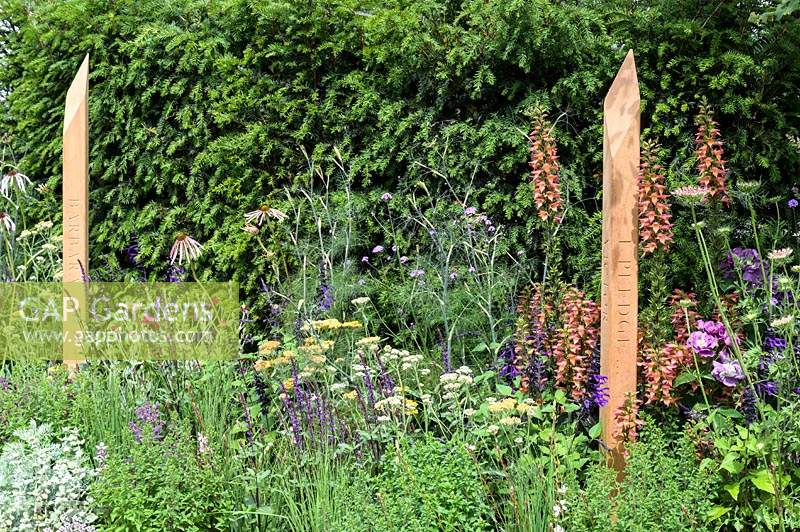 The Cancer Research UK Garden. Pledge Pathway To Progress. RHS Hampton Court Palace Garden Festival, 2019.  