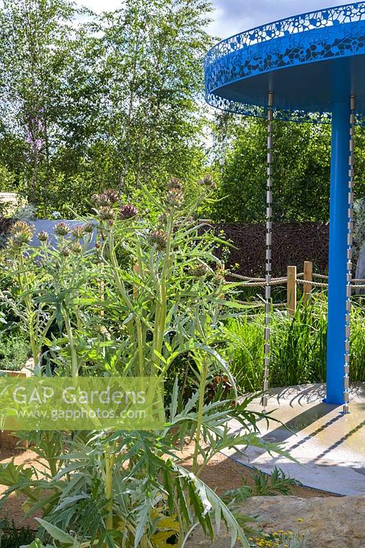 Blue rainfall pavilion with raincatchers, and gravel garden with Lychnis coronaria 'Alba' and Cynara. The Thames Water Flourishing Future Garden. RHS Hampton Court Palace Garden Festival, 2019.