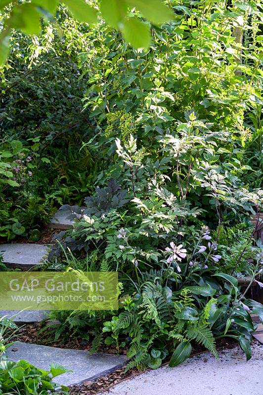 Curved stepping stones path and shade planting of Hosta, Astilbe with ferns and Aquilegia.  Stop and Pause Garden. RHS Hampton Court Palace Garden Festival, 2019.