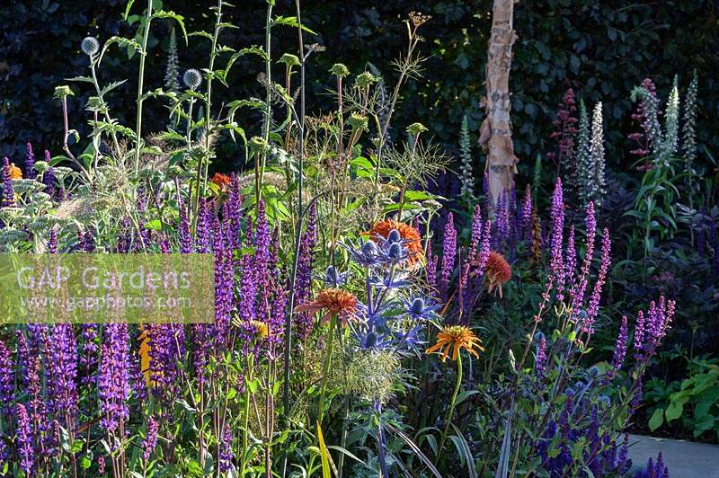 Mixed planting in The Lower Barn Farm Outdoor Living Garden. RHS Hampton Court Palace Garden Festival, 2019.