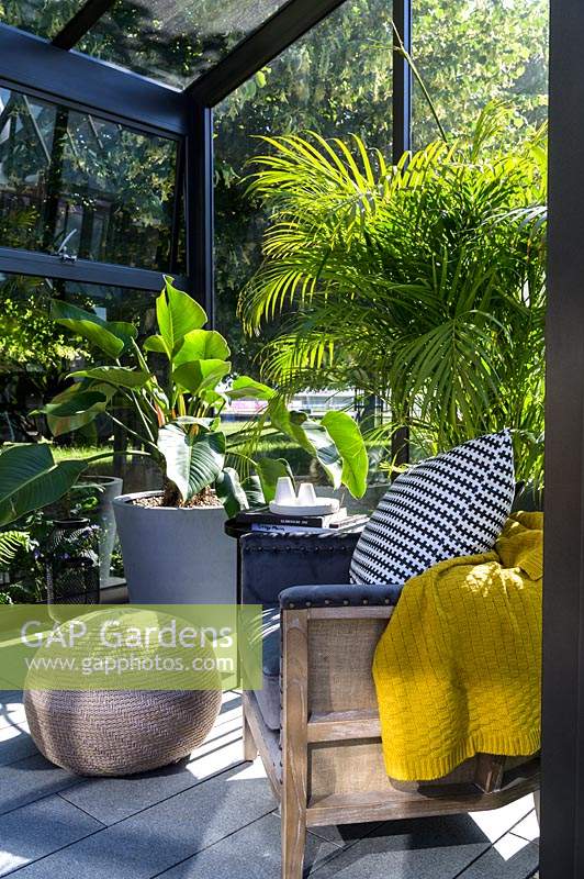 Glass room with armchair and tropical plants in pots - RHS Hampton Court  Palace Garden Festival, 2019. 