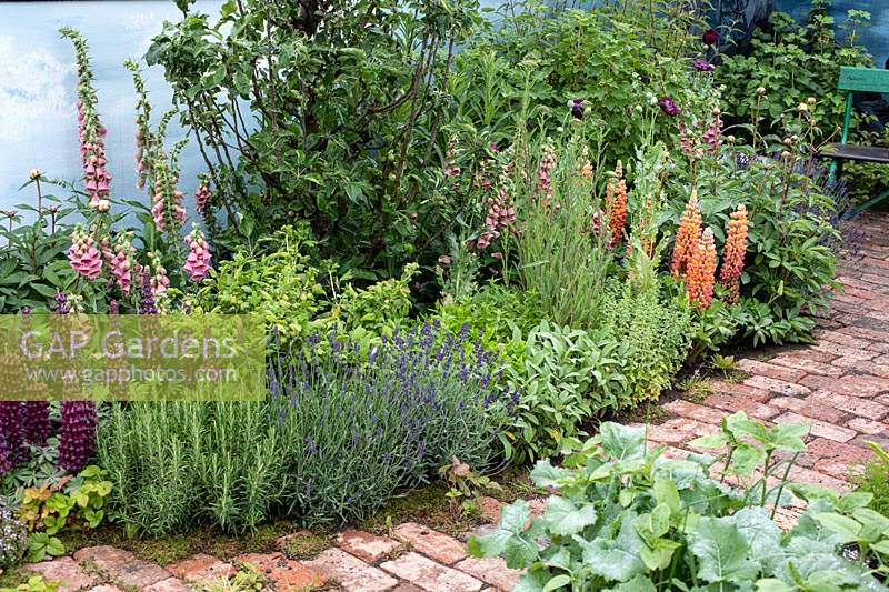 Perennials line an old brick path in 'An Imagined Miner's Garden', designed by Colin and Mary Bielby at RHS Chatsworth Flower Show, 2019.
