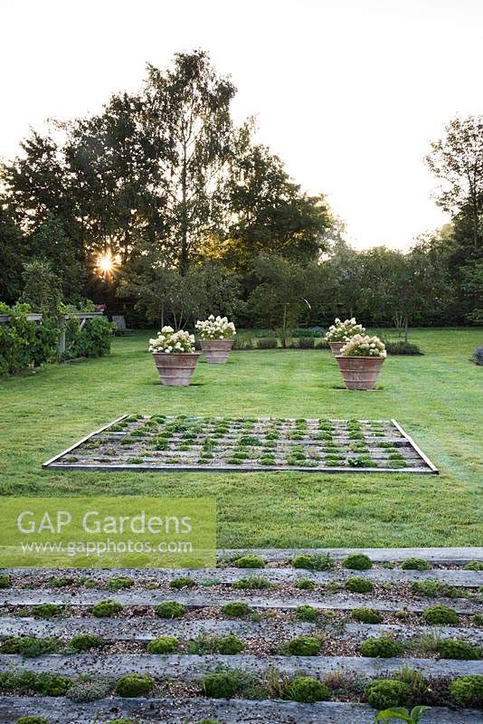 Formal garden with panels of sedums and succulents set between sunken railway sleepers and terracotta pots of Hydrangeas 