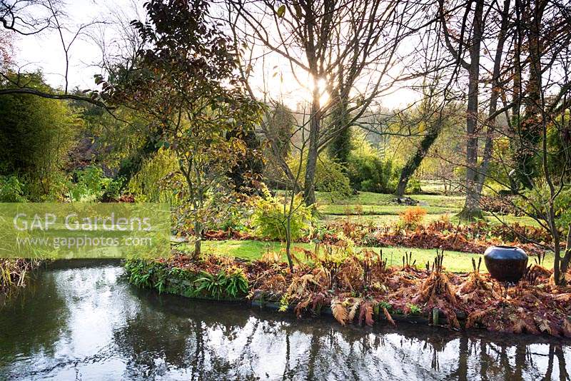 The Japanese garden at Heale House, Wiltshire illuminated by autumn sunshine.
