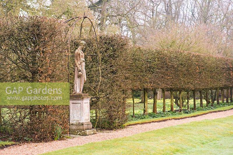 Classical statue set into a pleached hornbeam avenue at Doddington Hall, Lincolnshire in March