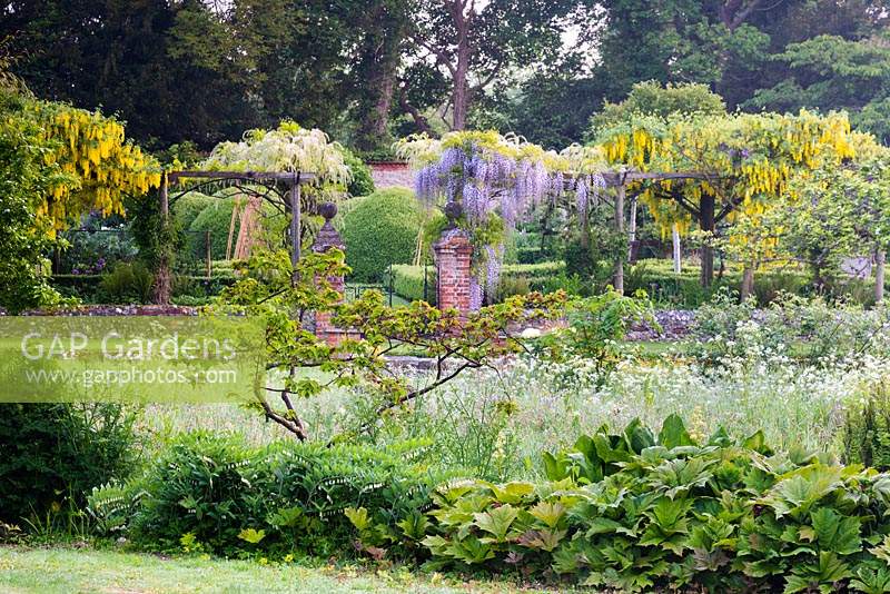 Pergola laden with Wisteria and Laburnum forms the fourth wall of the tunnel garden at Heale House near Salisbury, UK. 
